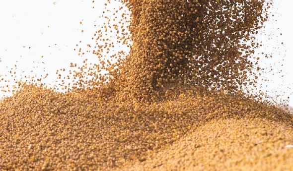 BIS CERTIFICATION FOR POULTRY FEEDS IS 1374:2007