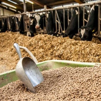 BIS CERTIFICATION FOR COMPOUNDED CATTLE FEEDS IS 2052:2009