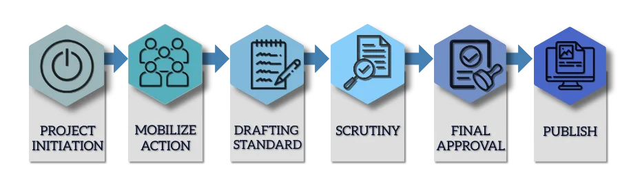 standards formulation process of  in india